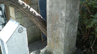 隅々まで猿が彫られています