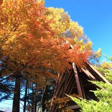 入り口の写真です。秋は紅葉がステキです