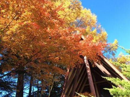 旧軽井沢ペンションウエハラ 写真