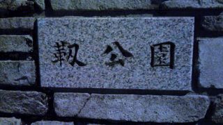 都会の大きな公園