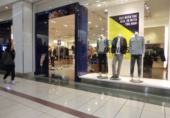 オーソドックスなデザインと色