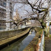 秀吉の時代に築かれたという歴史も