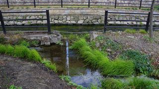 寝屋川駅の西側すぐ