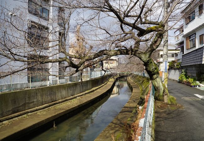 秀吉の時代に築かれたという歴史も