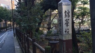 坂下にはお茶の水小学校があります