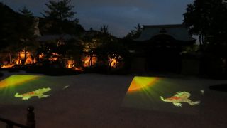 夏のライトアップ