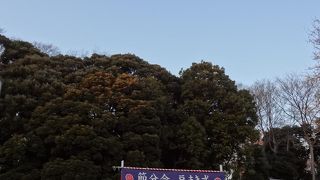 節分会の準備をしていました。