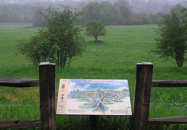 ヘイスティングス古戦場