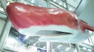 観覧車つき商業施設