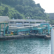 桜島港周辺には観光名所が幾つもあります