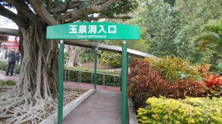 「八つ墓村」を思い出しました＾＾