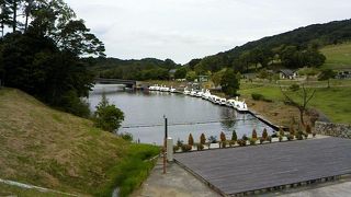 コアラに会いに行こう