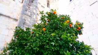 大聖堂とオレンジのコントラスト