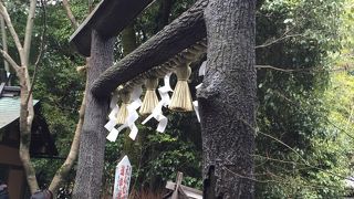 日本一の「黒木鳥居」