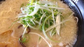 とんこつオイシイ