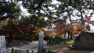 藤原氏ゆかりのお寺
