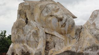 ワットロカヤスタ