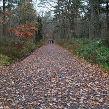 まっすぐの道が・・・