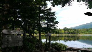 知床五湖めぐりの一つ