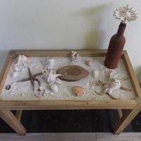 フロント付近に飾ってあった貝殻たち