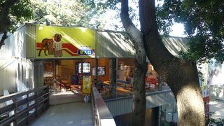 もとは土佐闘犬センター