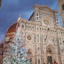 クリスマスツリーが美しいです