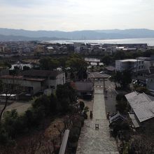 高台からの景色です