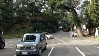 駐車場はＰ１（公園内駐車場）がオススメです