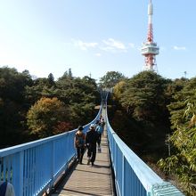 アドベンチャーブリッジです。