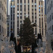 １月でも見ることができるクリスマスツリー