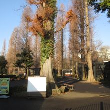 井の頭自然文化園