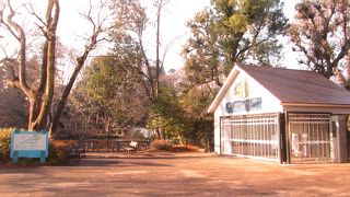 朝の井の頭自然文化園