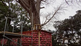 周囲が工事中で、少し残念！