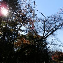 宇都宮タワーです。