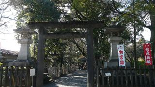 高知、像めぐり