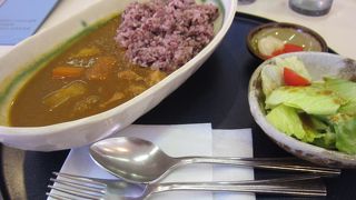 レストランさくらの名物メニューは古代カレー＆古代ハヤシ