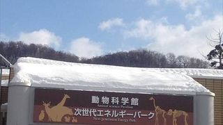 動物園のお土産を買うならここで