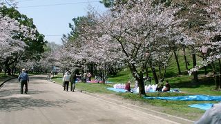丸亀城のある城山全域が亀山公園と呼ばれています