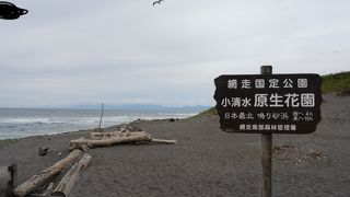オホーツクの静かな海岸