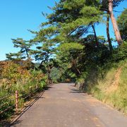 紅葉時期の景色がよかったです