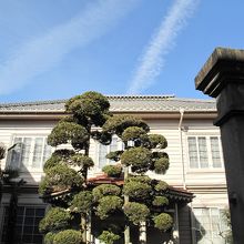 レトロな片山医院