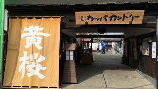 伏見の名水 汲み放題です