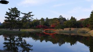 紅葉に赤い橋が映えてきれいだった。