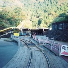 どことなく寂しげです