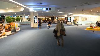 ANAに乗る時はこっち