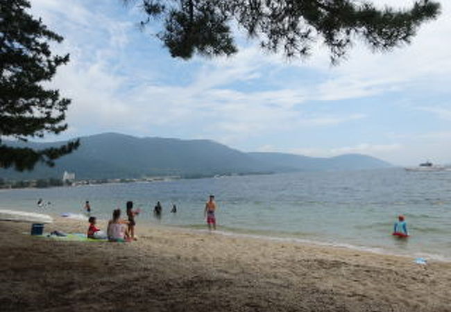 透明度抜群、松林もあって琵琶湖で一番お勧めの水泳場です