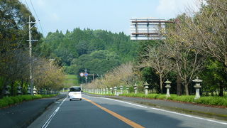 桜が咲いたらとても綺麗でしょう
