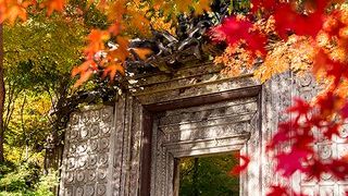 入り口から必見の美しい美術館