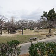 元々は、片埜神社の境内