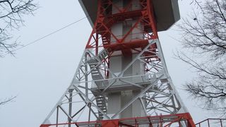 関東平野の地平線をぐるりと一望